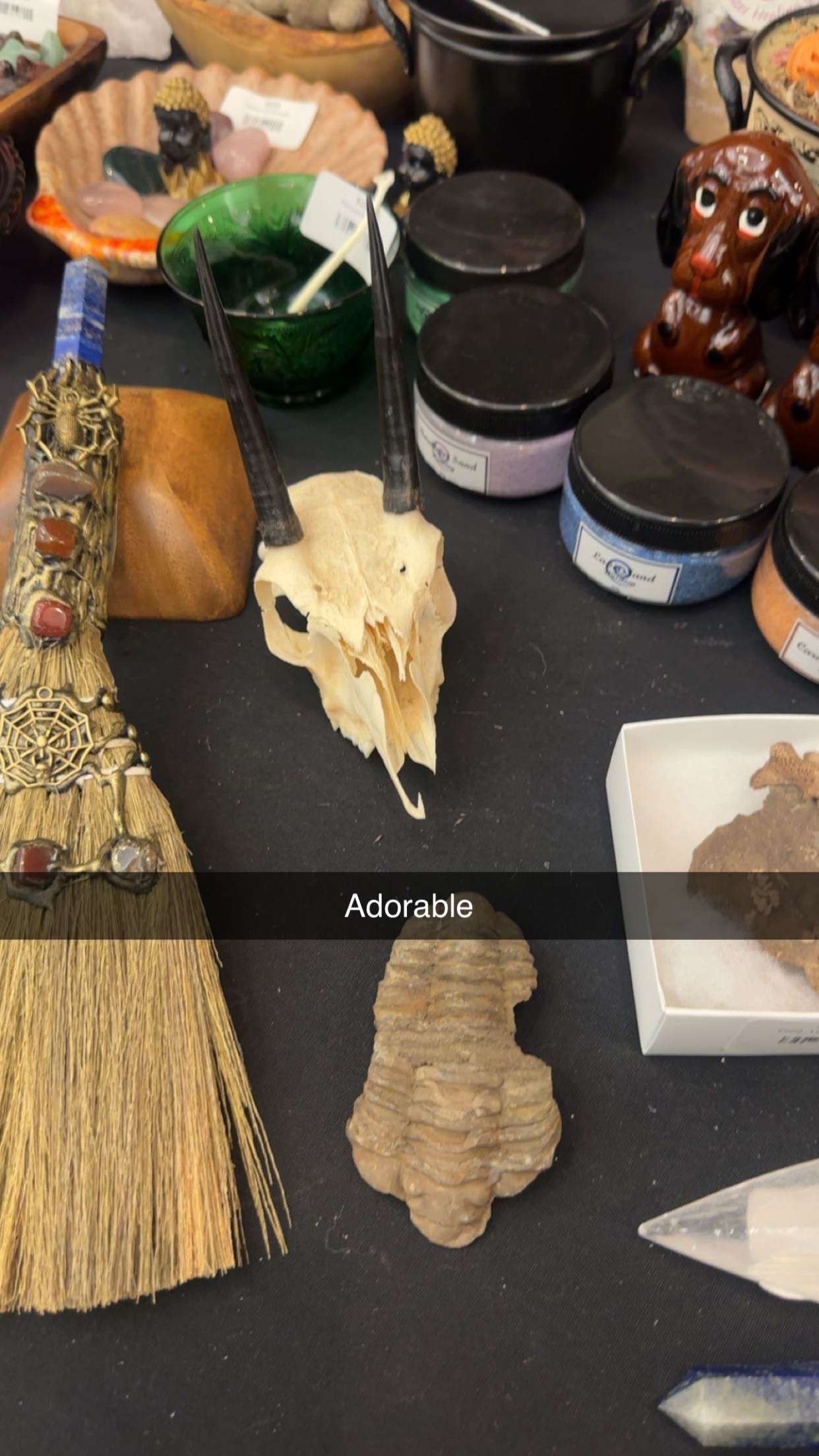 trappkittykhaos snapchat image archive image