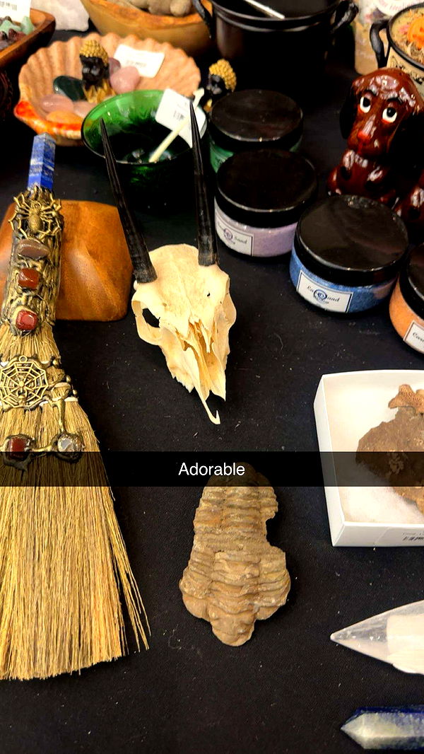 trappkittykhaos image ~ Altpins