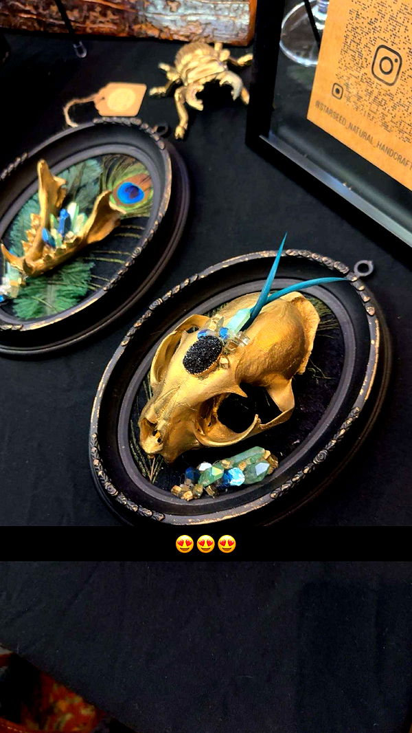 trappkittykhaos image ~ Altpins