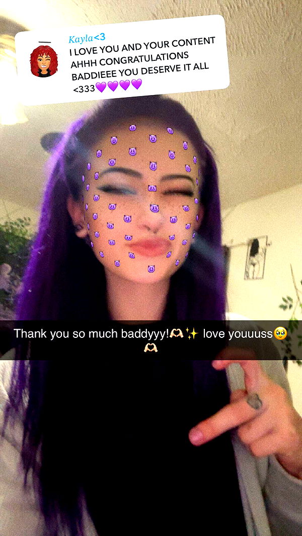 trappkittykhaos image ~ Altpins