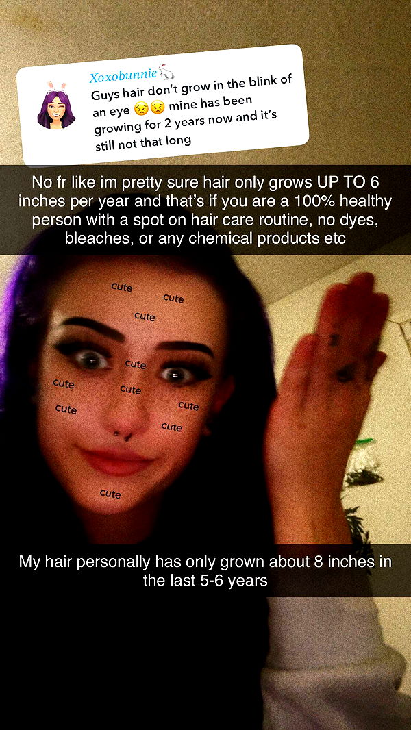 trappkittykhaos image ~ Altpins