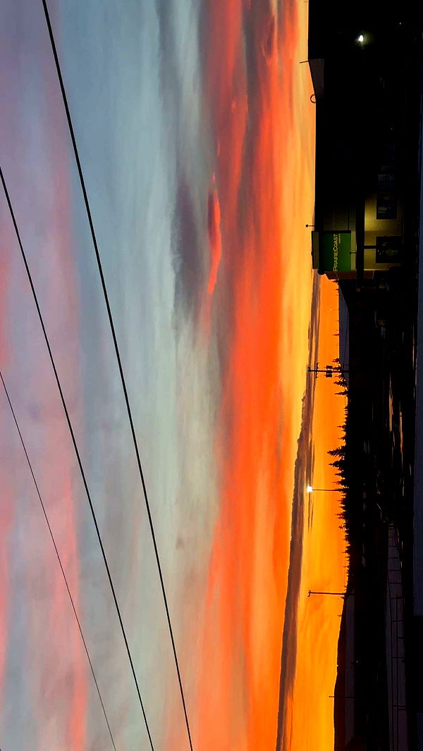 trappkittykhaos image ~ Altpins