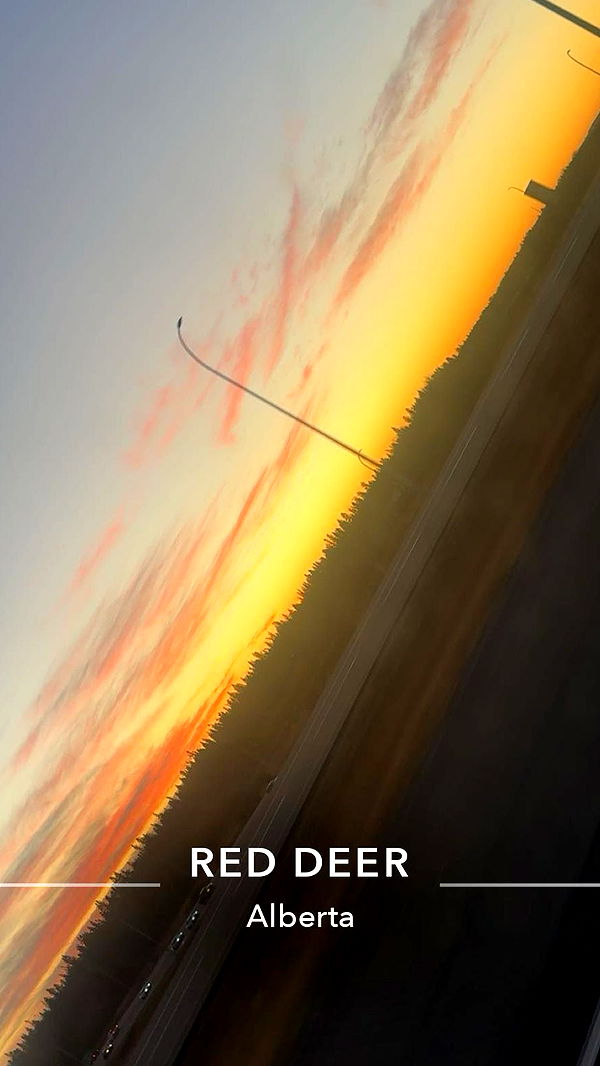 trappkittykhaos image ~ Altpins