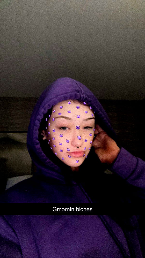 trappkittykhaos image ~ Altpins