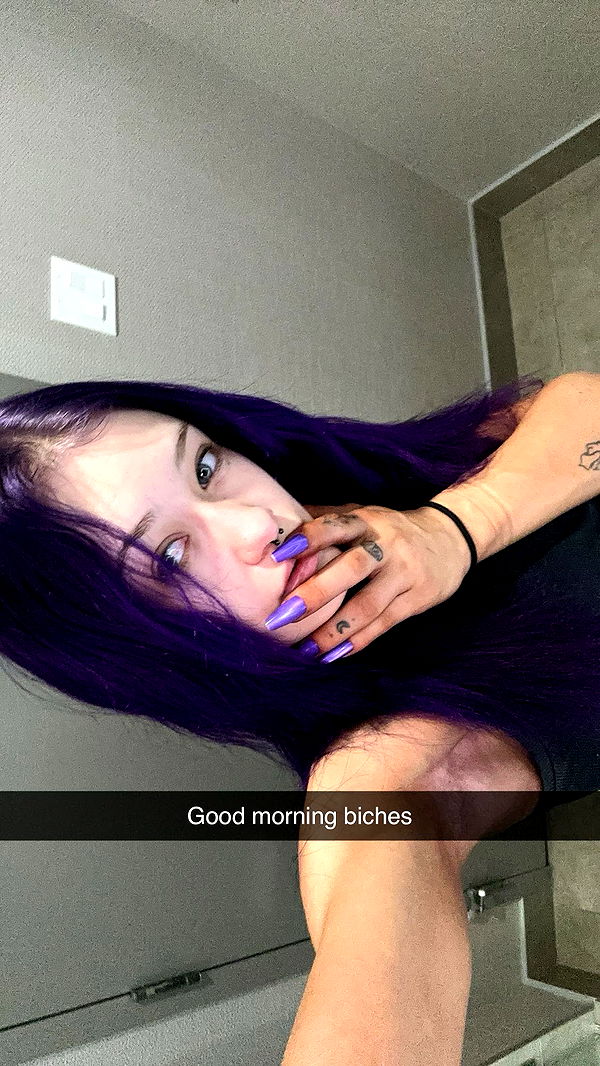 trappkittykhaos image ~ Altpins