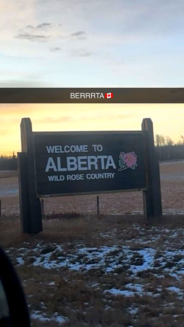 trappkittykhaos image ~ Altpins