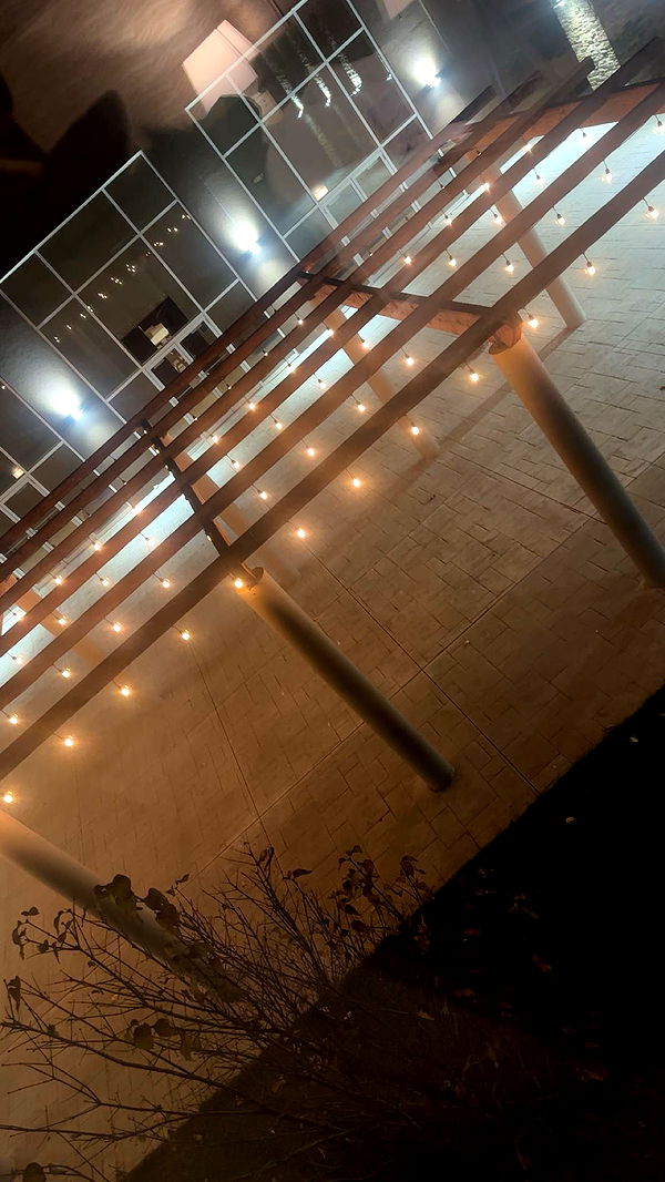 trappkittykhaos image ~ Altpins