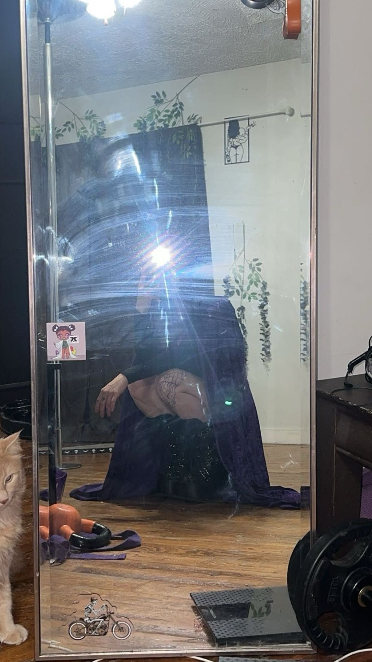 trappkittykhaos snapchat image archive image