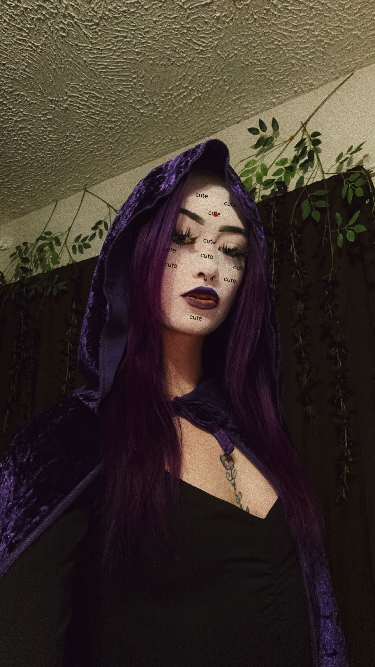 trappkittykhaos snapchat image archive image