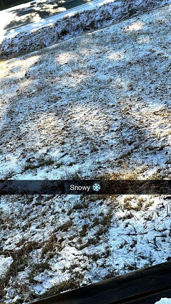 trappkittykhaos image ~ Altpins