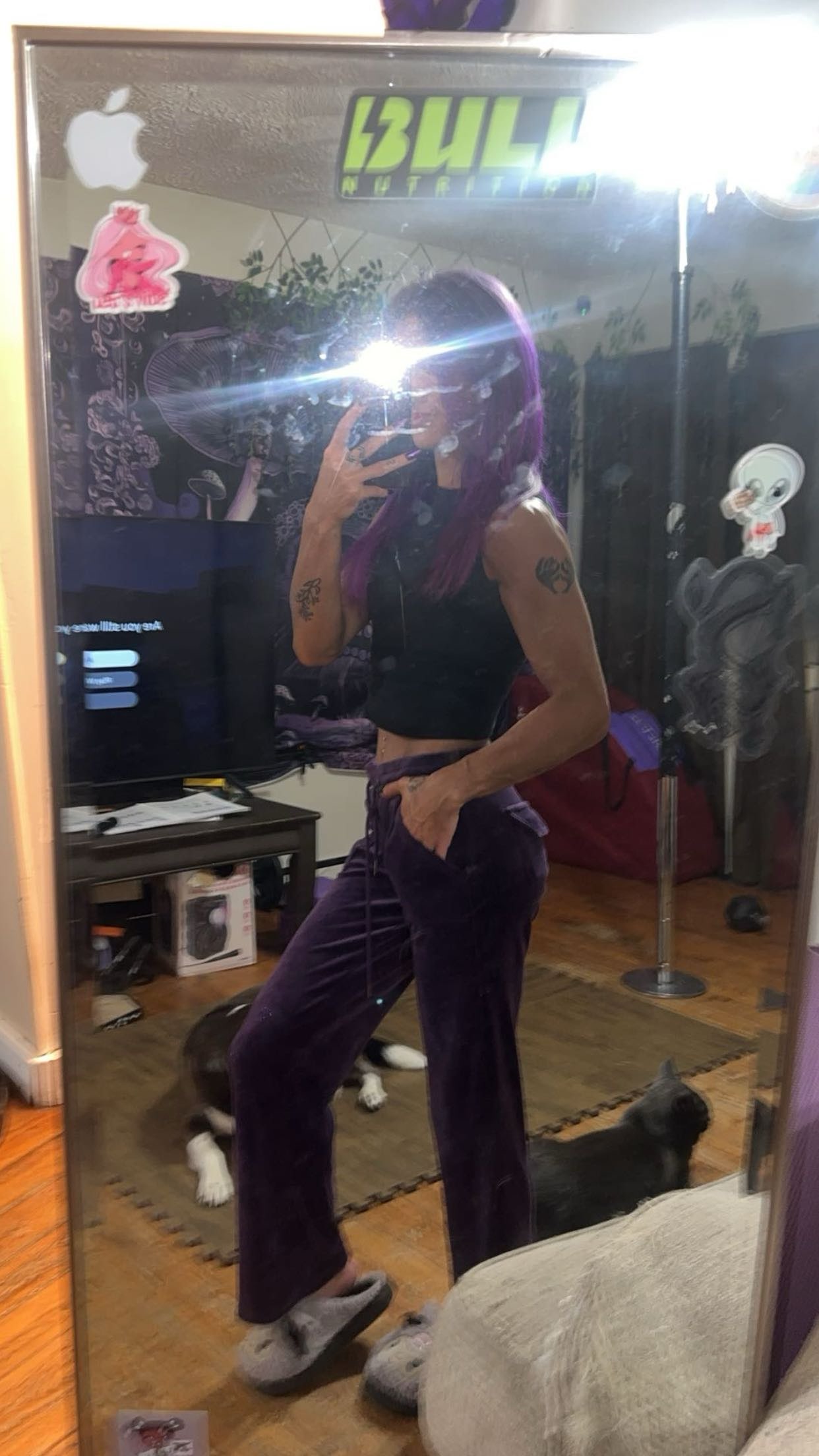 trappkittykhaos snapchat image archive image