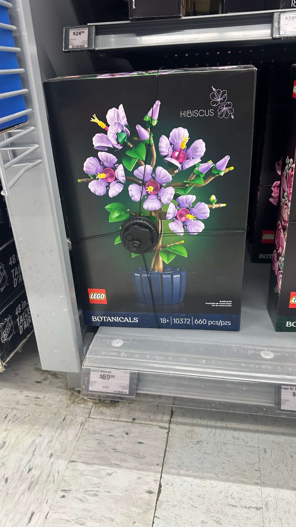 trappkittykhaos snapchat image archive image