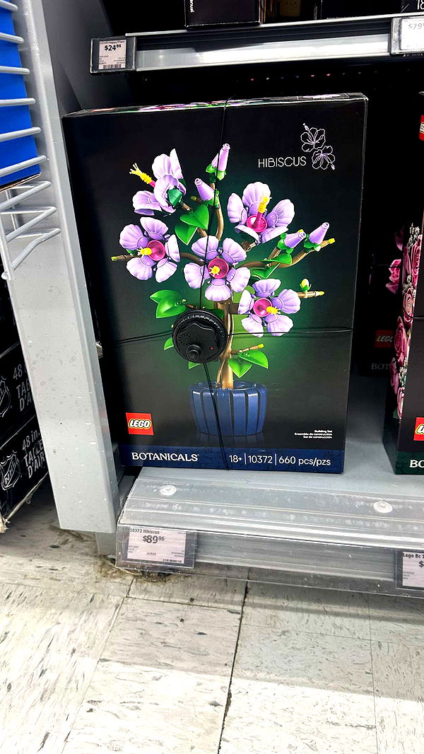 trappkittykhaos image ~ Altpins