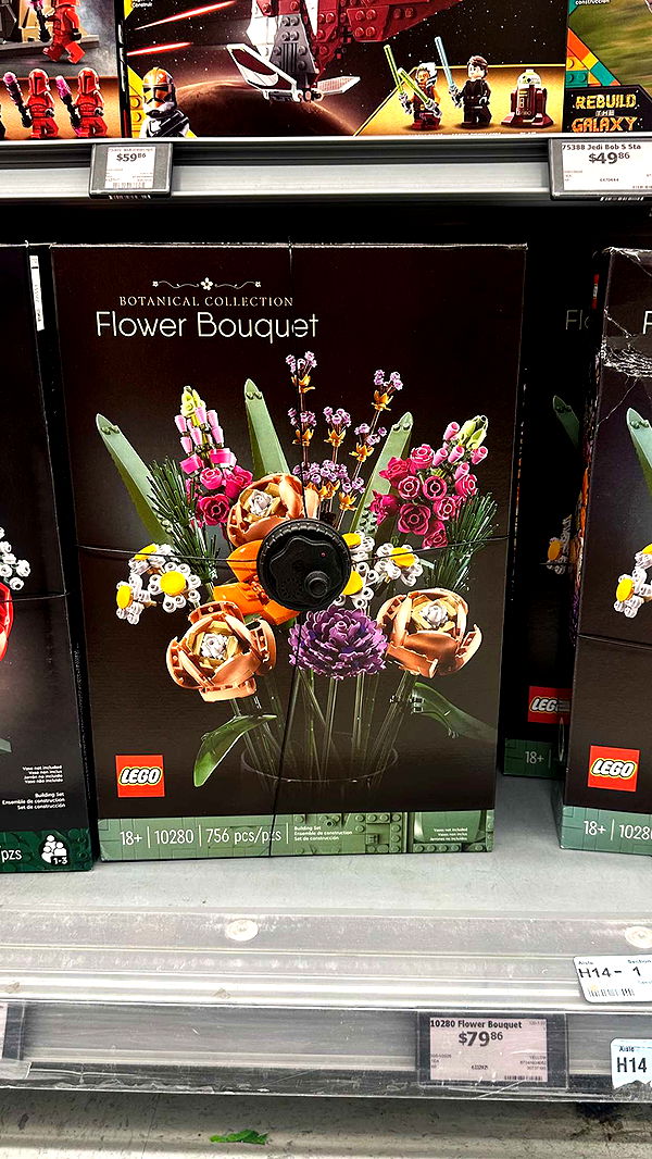 trappkittykhaos image ~ Altpins