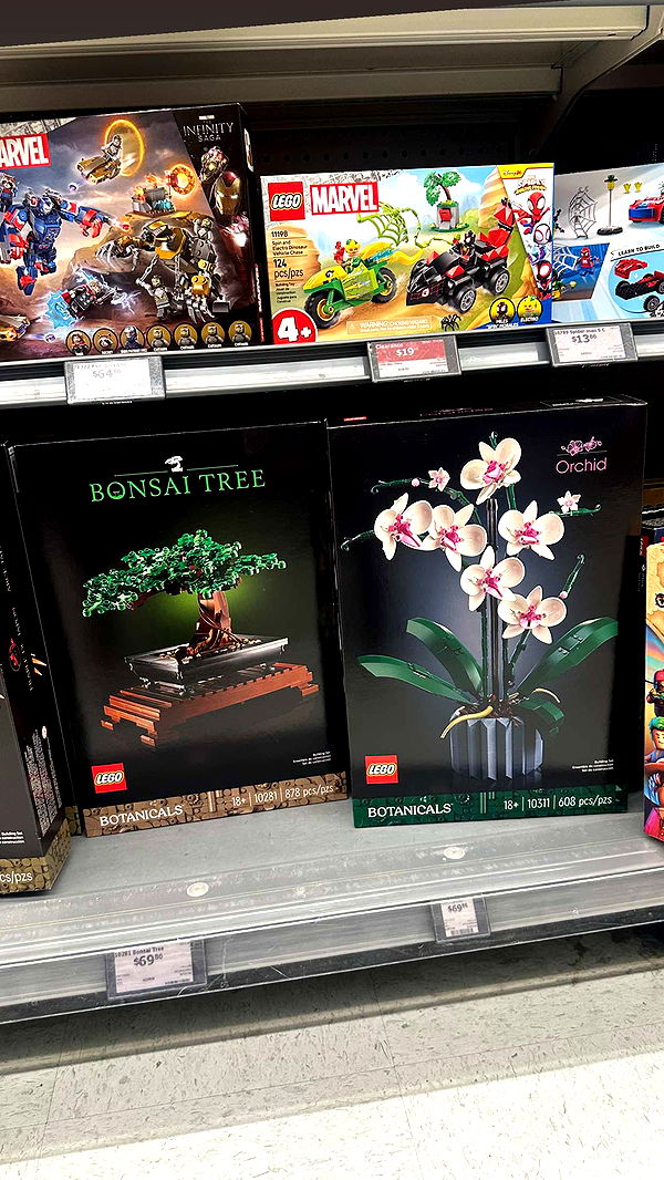 trappkittykhaos image ~ Altpins