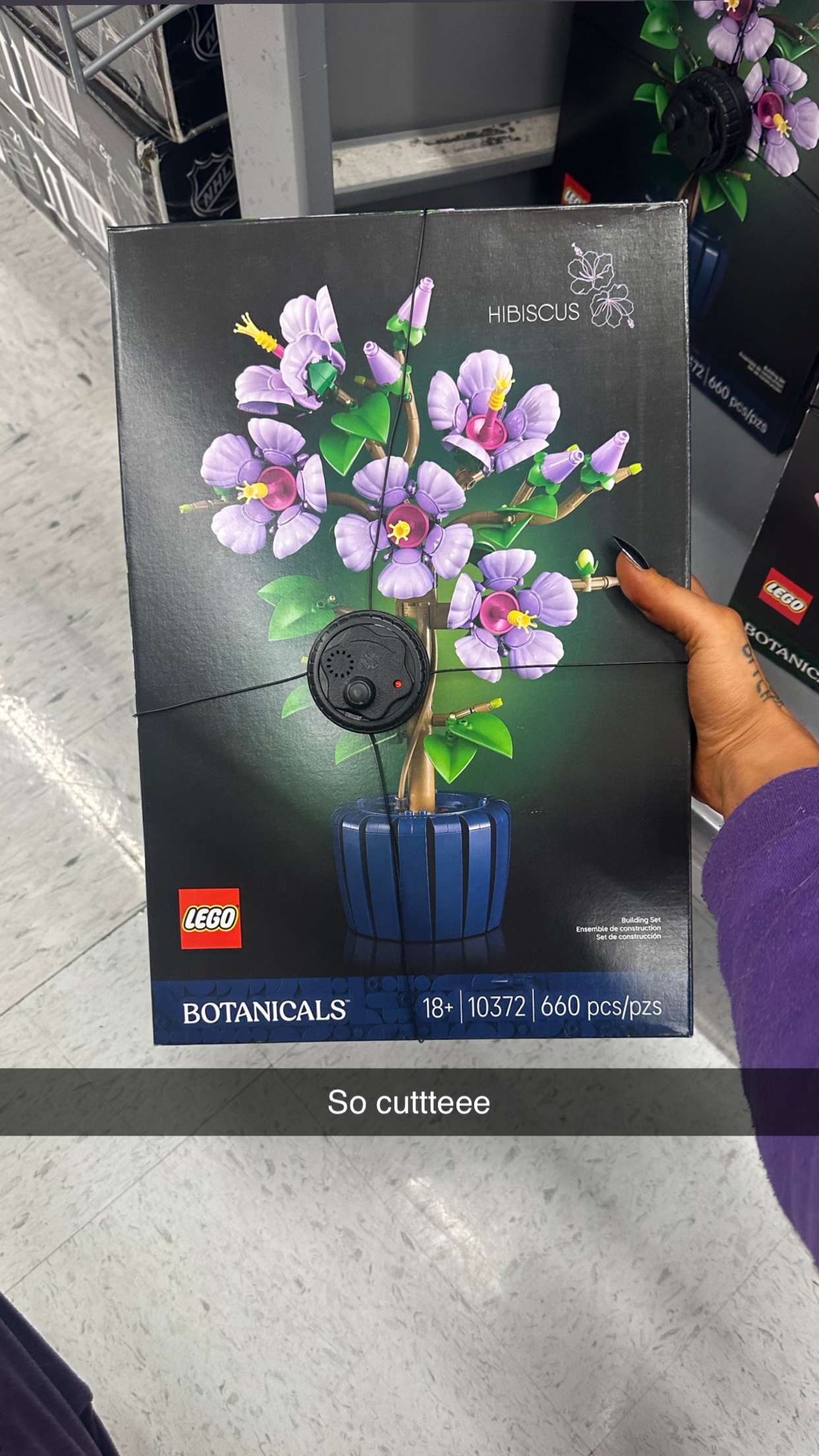 trappkittykhaos snapchat image archive image