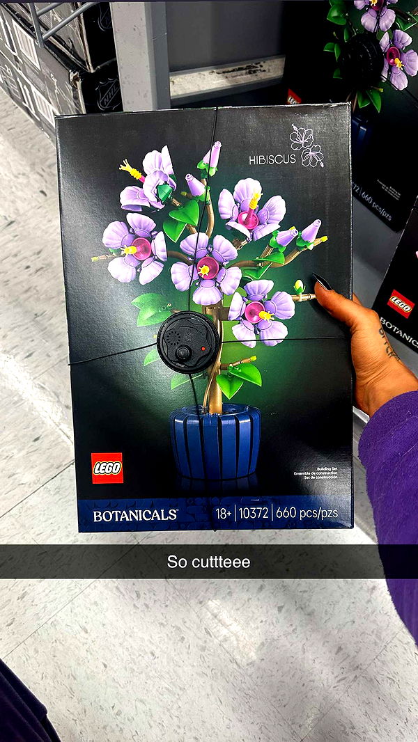 trappkittykhaos image ~ Altpins