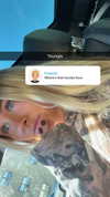 vandec23 Altpins Profile Picture