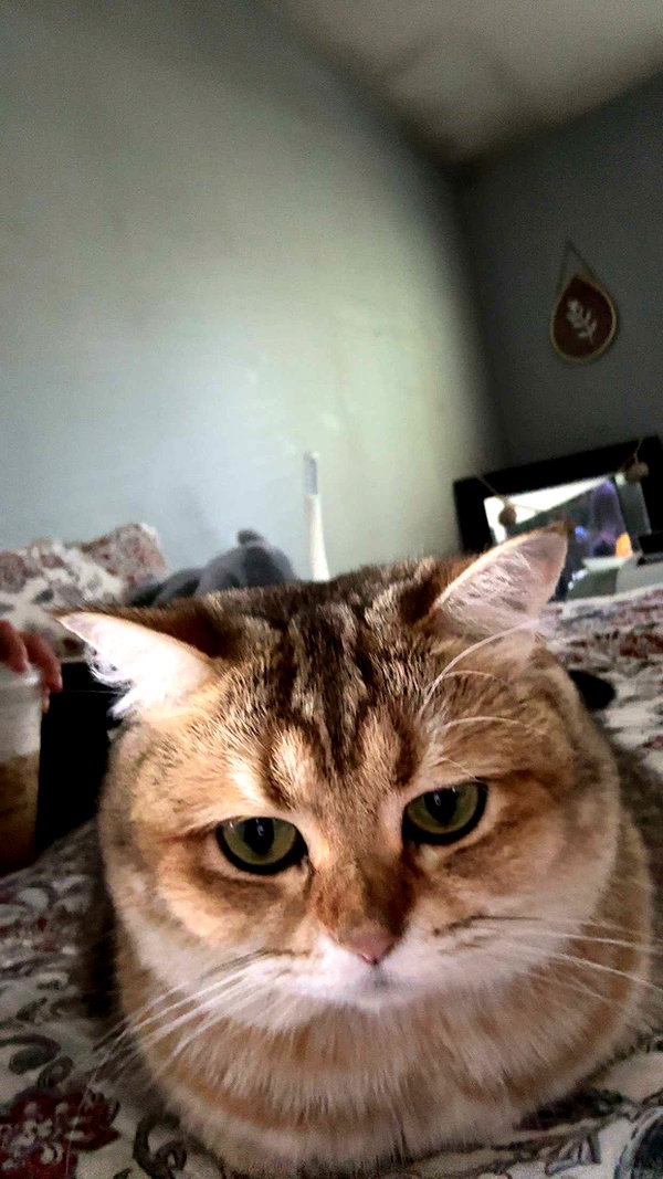 viptoriiaa snapchat image archive image