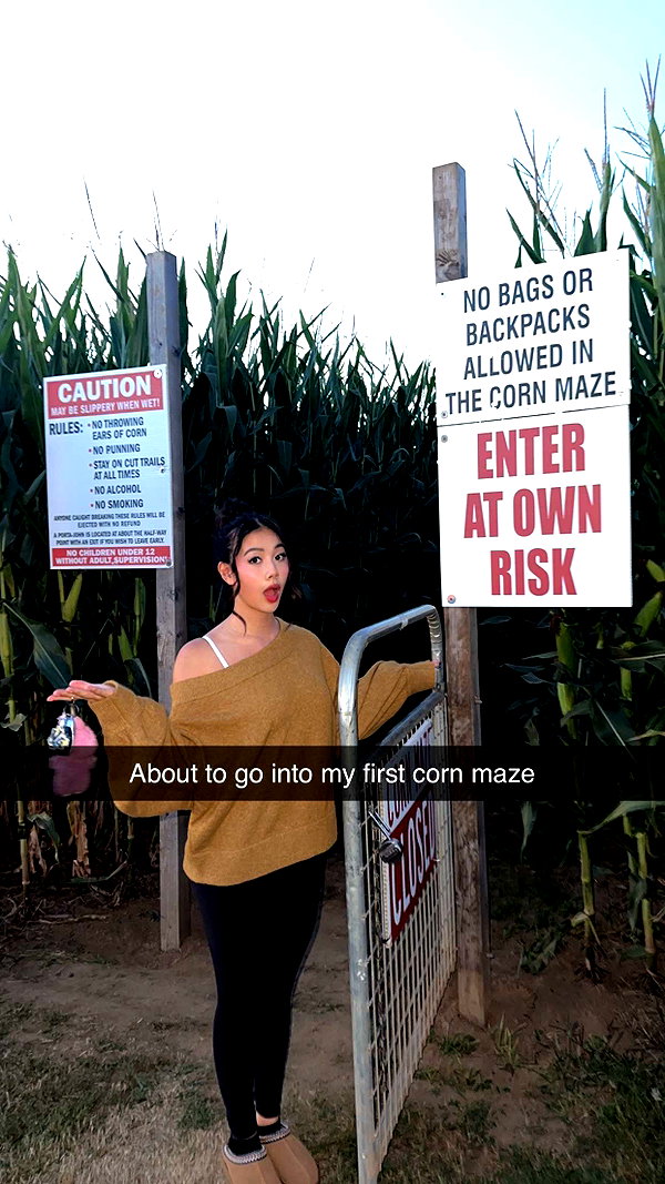 viptoriiaa snapchat image archive image