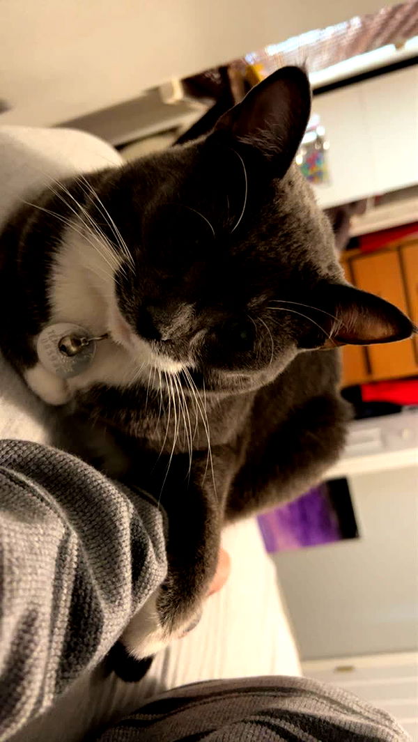 willow.jc image ~ Altpins