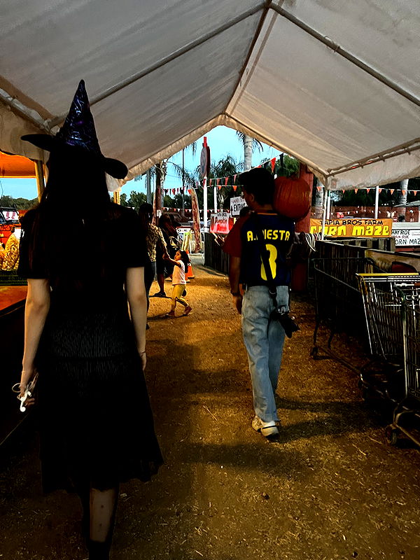 willow.jc image ~ Altpins