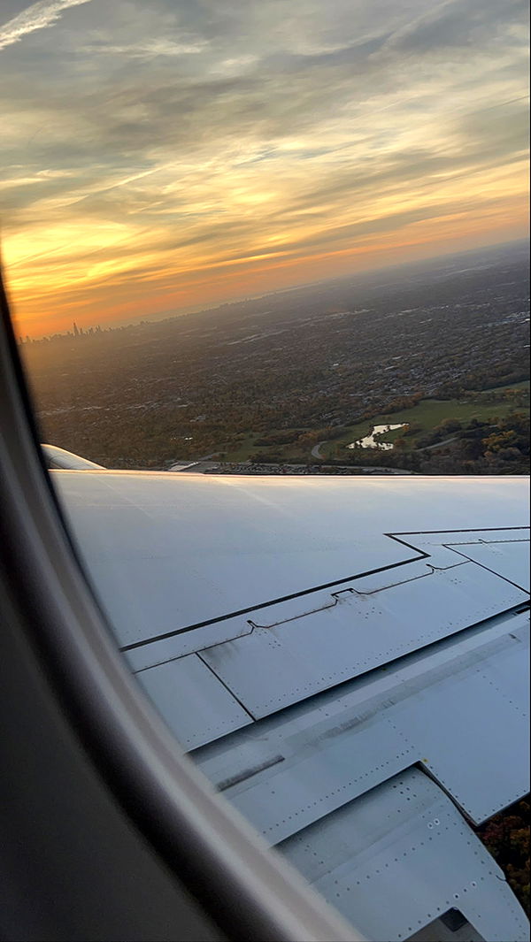 willow.jc image ~ Altpins