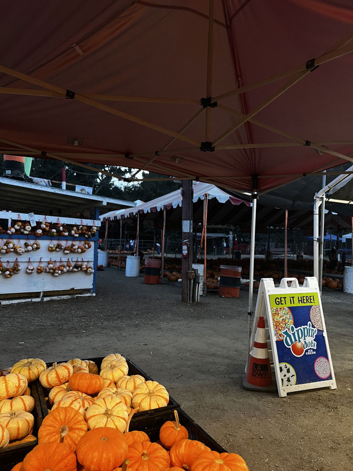 willow.jc snapchat image archive image