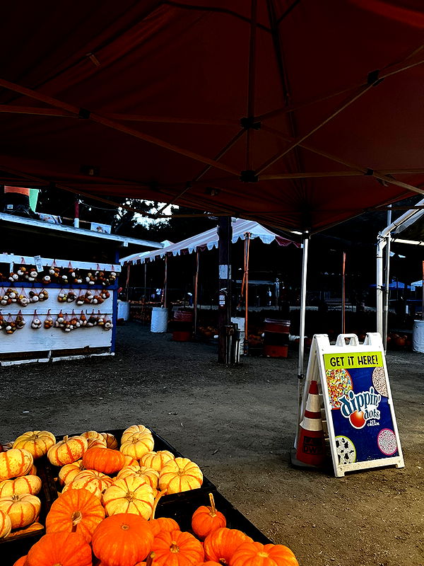 willow.jc image ~ Altpins