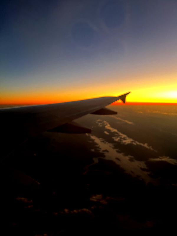 willow.jc image ~ Altpins