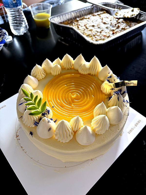 willow.jc image ~ Altpins