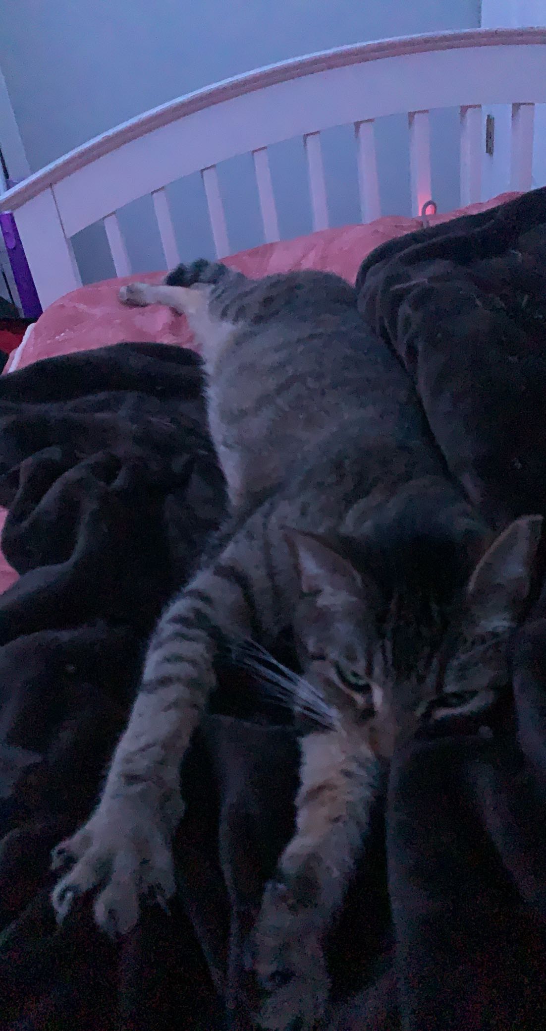 willow.jc snapchat image archive image