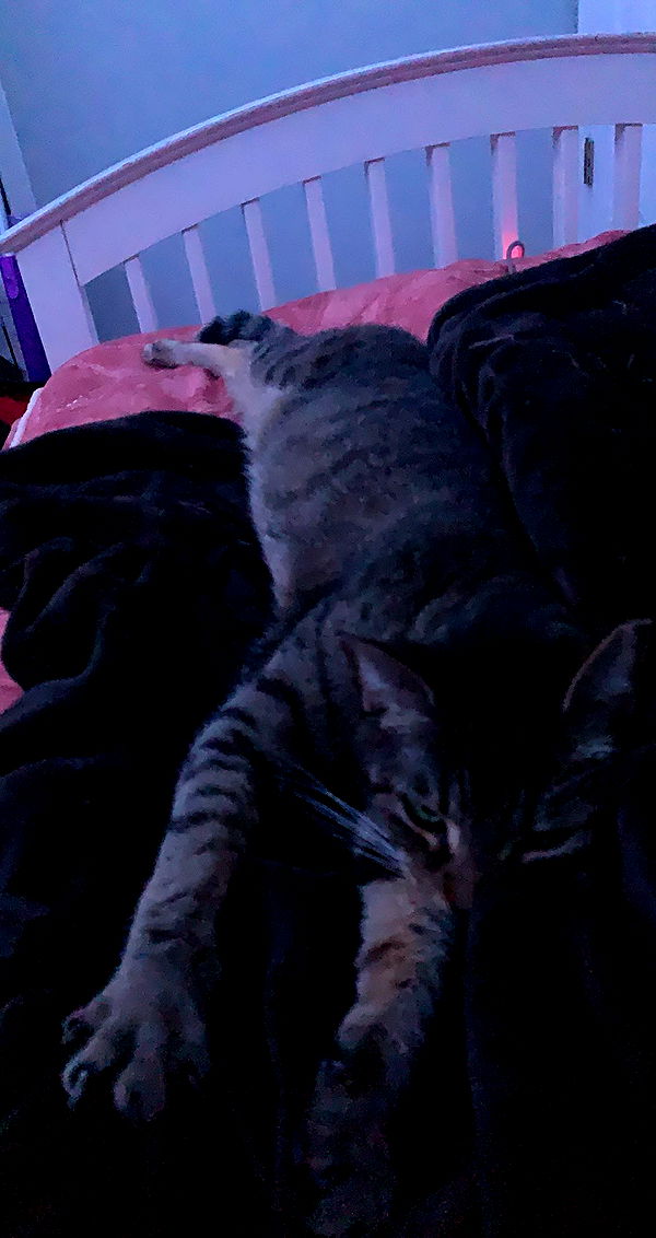 willow.jc image ~ Altpins