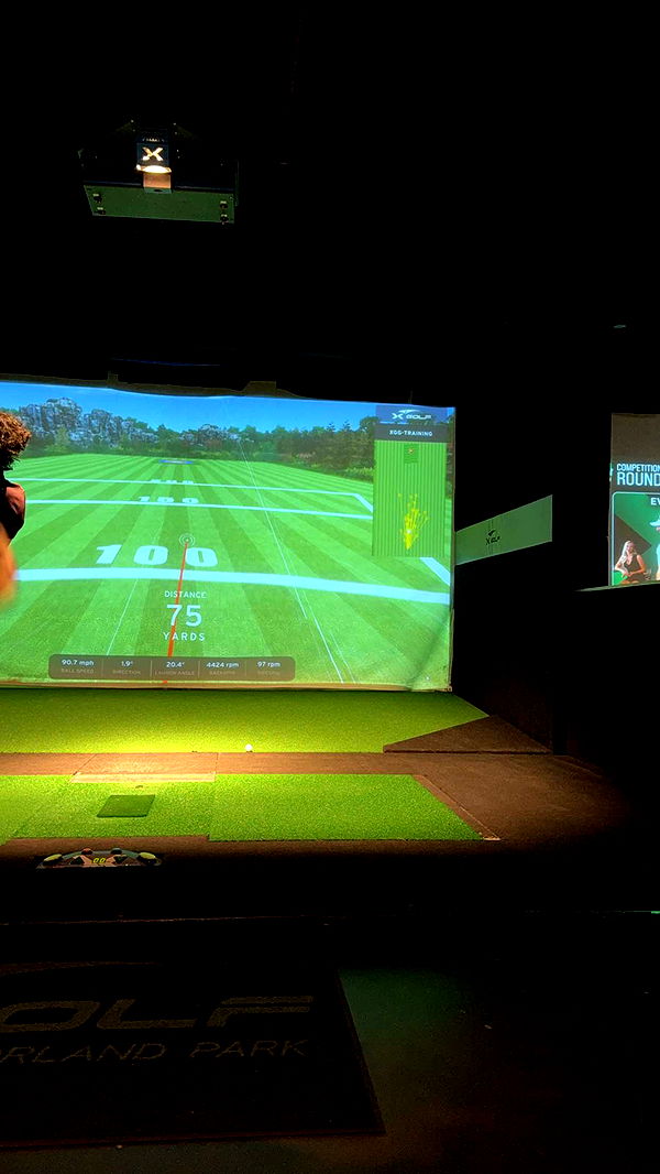 willow.jc image ~ Altpins