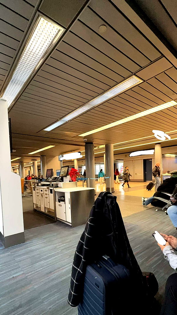 willow.jc image ~ Altpins