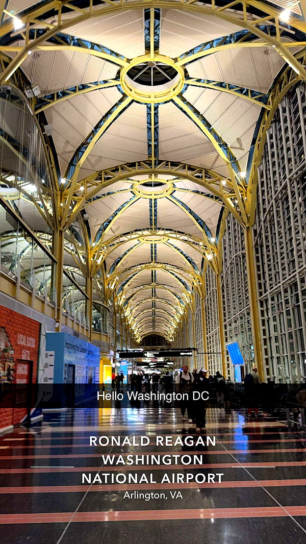 willow.jc image ~ Altpins