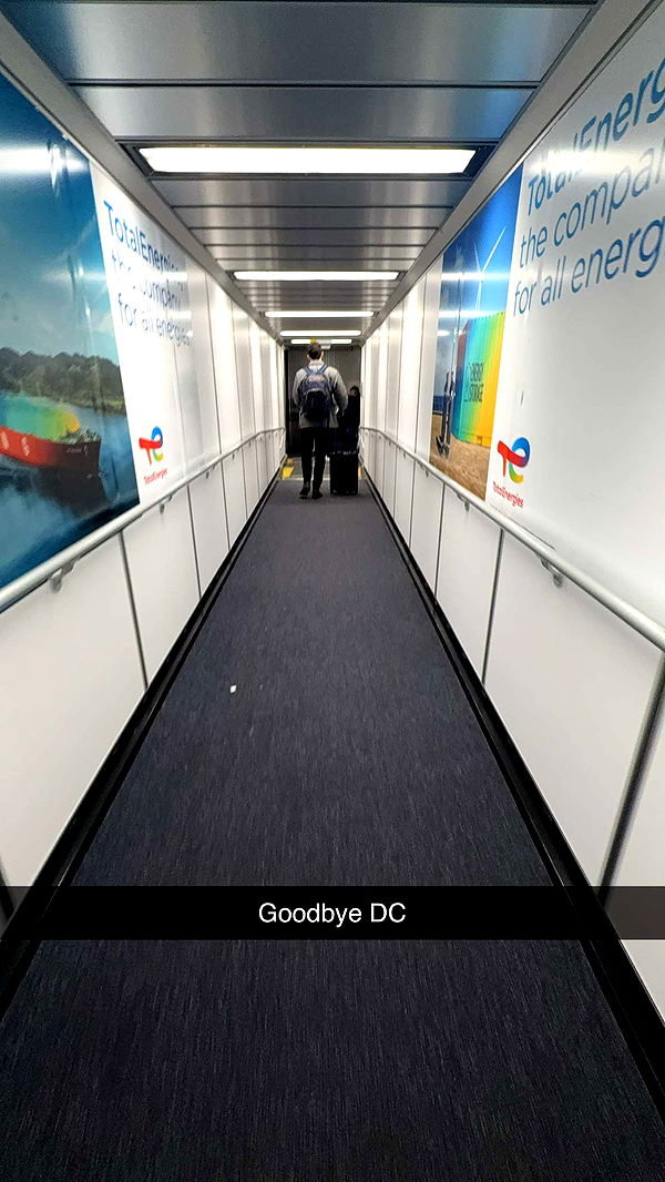 willow.jc image ~ Altpins