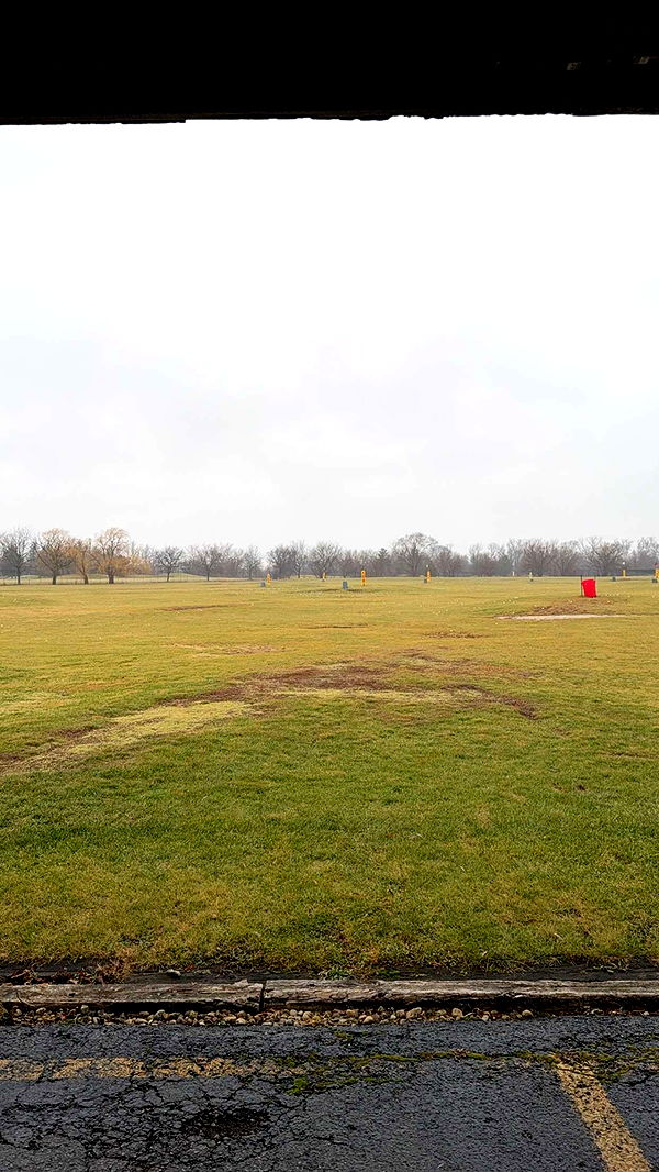 willow.jc image ~ Altpins