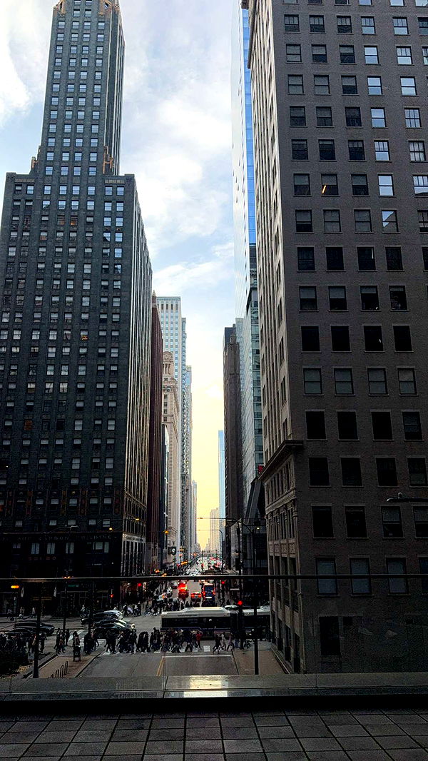 willow.jc image ~ Altpins