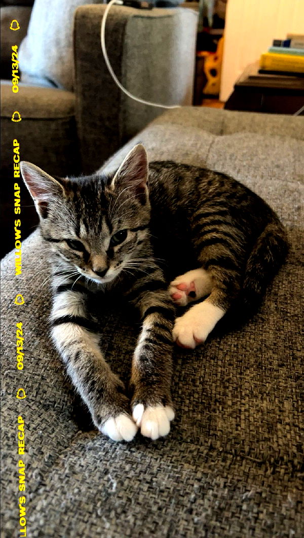 willow.jc image ~ Altpins