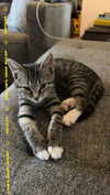 willow.jc Altpins Profile Picture