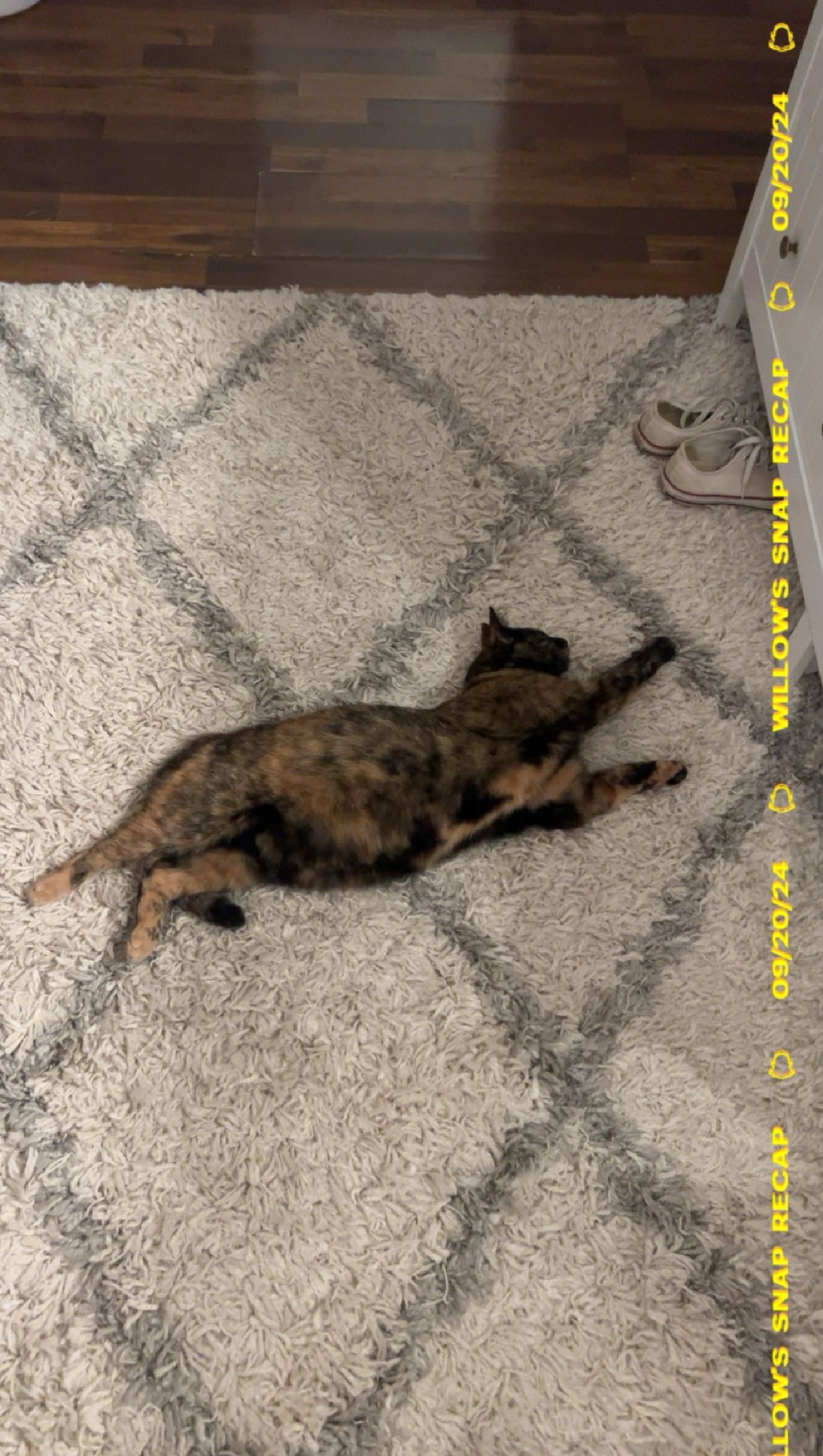 willow.jc snapchat image archive image