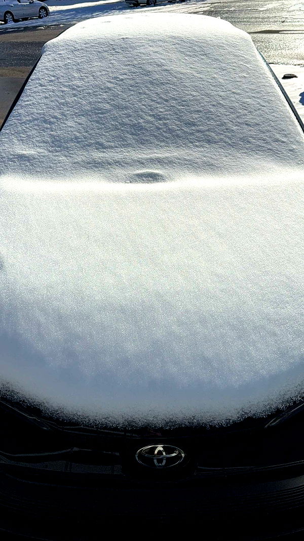 willow.jc image ~ Altpins