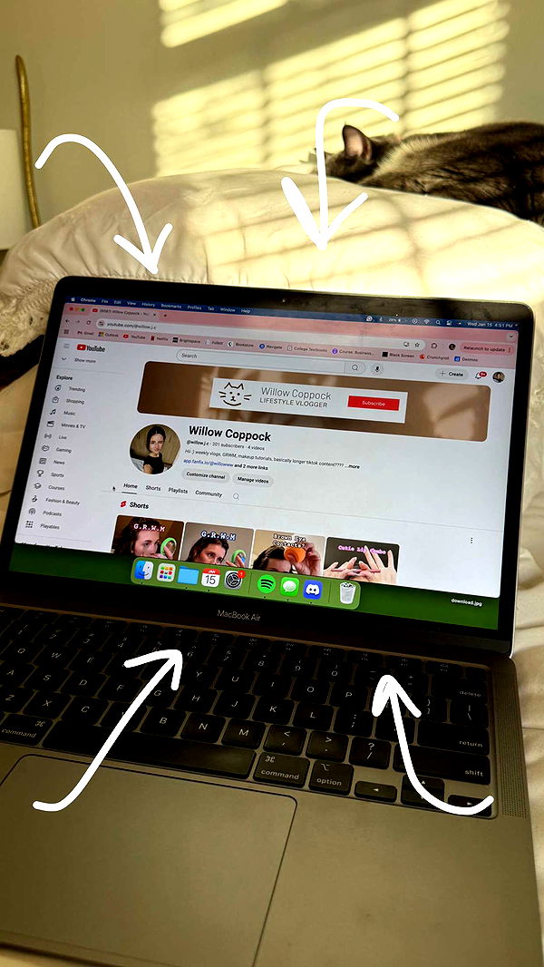 willow.jc image ~ Altpins