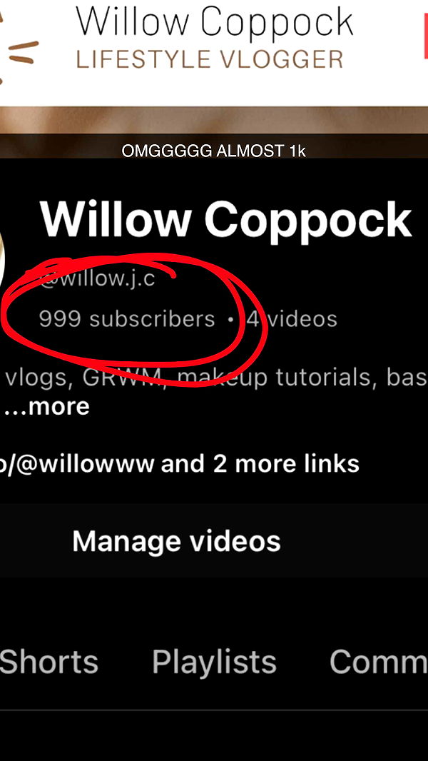 willow.jc image ~ Altpins