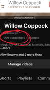 willow.jc Altpins Profile Picture
