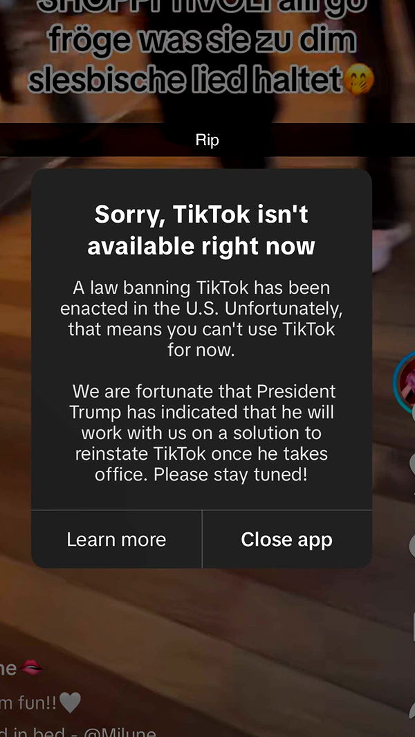 willow.jc image ~ Altpins