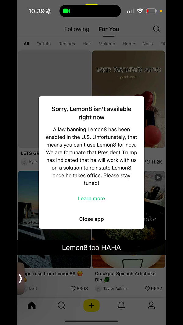 willow.jc image ~ Altpins