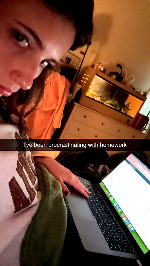 willow.jc image ~ Altpins