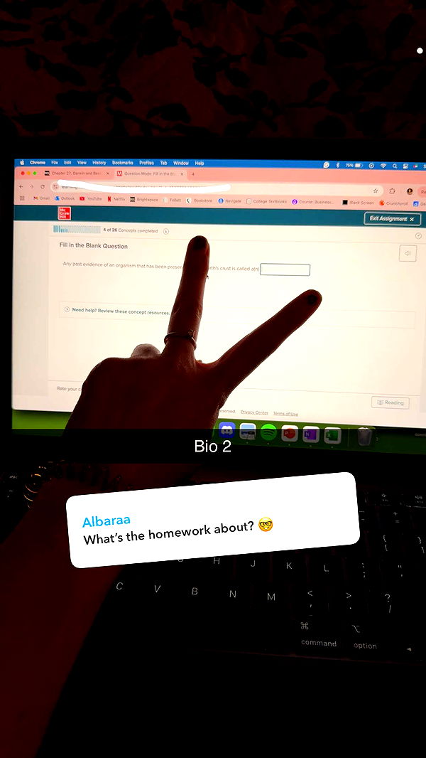 willow.jc image ~ Altpins